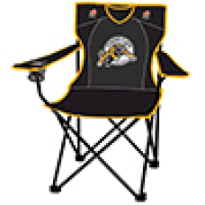 CFL 1 Child Chair Tiger Cats
