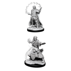 DND Unpainted Minis WV11 Male Human Wizard