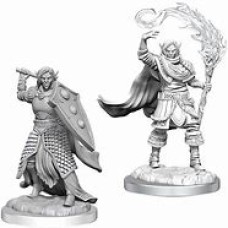 DND Unpainted Minis WV16 Elf Cleric Male
